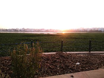 Scenic view of field against sky during sunset