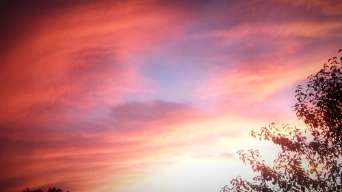 Low angle view of dramatic sky during sunset