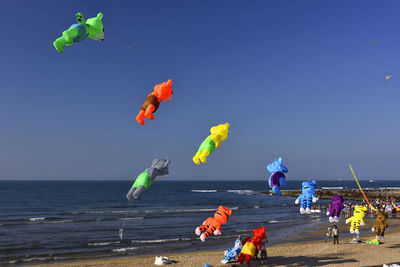 Colorful kites flying at beach on sunny day