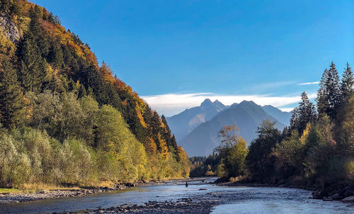 Scenic view of river amidst trees against sky