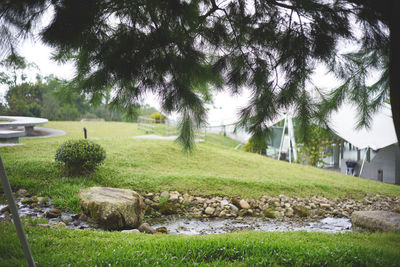 View of park on sunny day