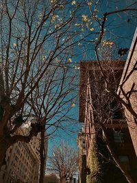 Low angle view of trees against sky