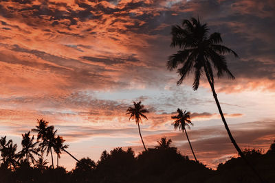 Low angle view of silhouette palm trees against sky during sunset