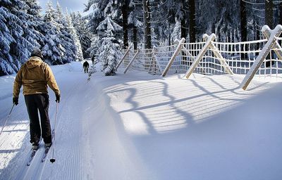 Rear view of man skiing on snow in forest