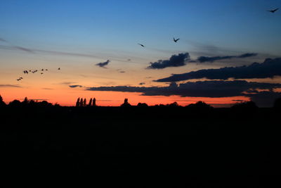 Silhouette birds flying over landscape against sky during sunset