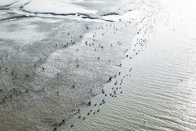 High angle view of snow on land