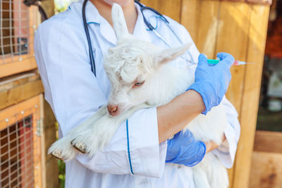 Midsection of woman with goat