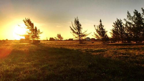 Scenic view of field against sky during sunset