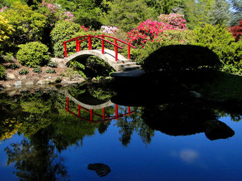 Arch bridge over lake in garden