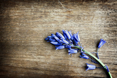 Close-up of purple flowers on table