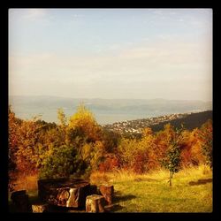 Scenic view of landscape against clear sky