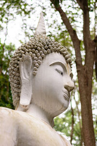 Low angle view of statue against trees