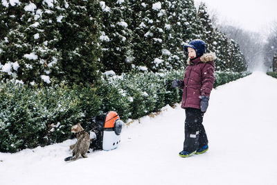 Outdoor cat care in winter. cold weather cat safety. cats in winter. little boy walking with