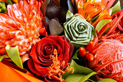 High angle view of red flowering plants at market