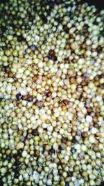 Full frame shot of blueberries