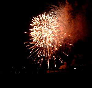 Fireworks exploding in night sky