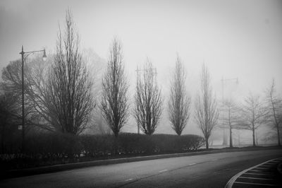 Bare trees by road against clear sky