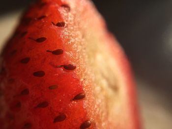 Close-up of red object