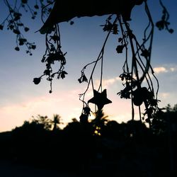Low angle view of silhouette tree against sky during sunset
