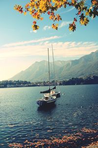 Boats in sea