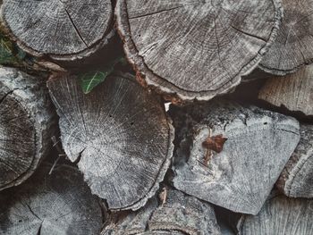 Full frame shot of logs in forest