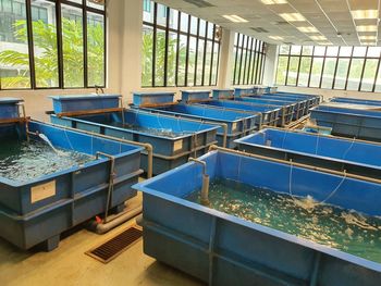 Interior of swimming pool