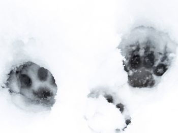 Close-up of snow against sky