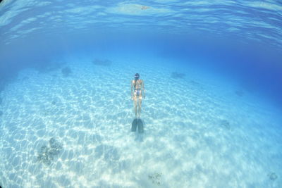 High angle view of woman swimming in sea