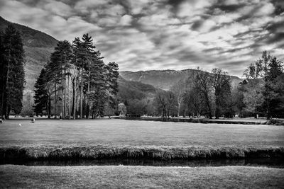 Trees on field against sky