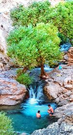 High angle view of people on rocks by plants