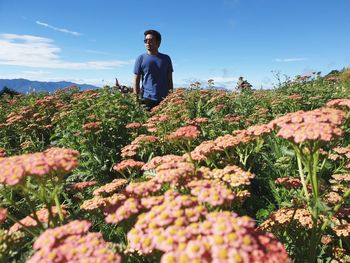 Full length of man standing by flowers against sky