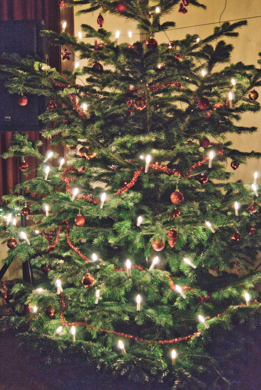 VIEW OF CHRISTMAS TREE