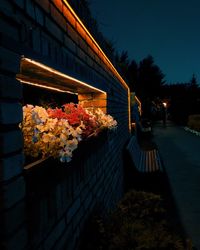 Illuminated flowering plants by railing in city at night