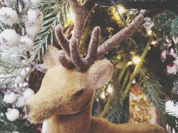 Close-up of animal representation on christmas tree