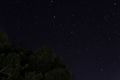 Low angle view of starry sky