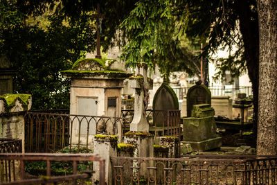 View of cemetery against building