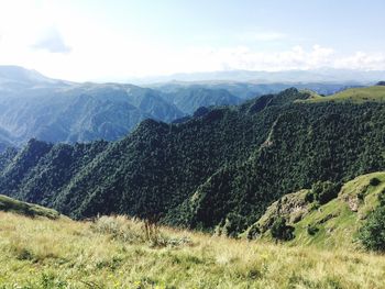 Scenic view of landscape against sky