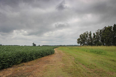 Scenic view of grassy field against cloudy sky