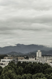 Plants and buildings in city against sky