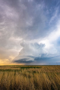 Scenic view of field against sky