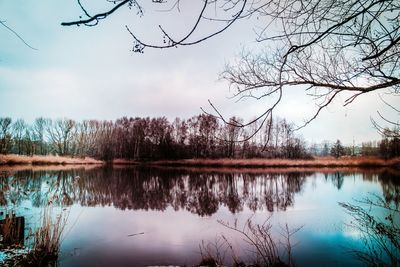 Reflection of bare trees in lake against sky