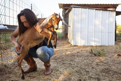 Female farmer injecting goat on field