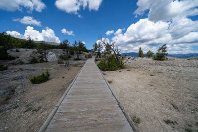 Footpath amidst plants on land against sky