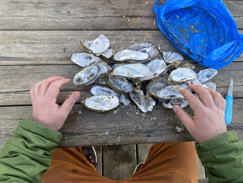 High angle view of man holding fish