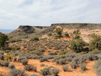 Red cliffs national conservation area on yellow knolls hiking trail southwest utah st. george