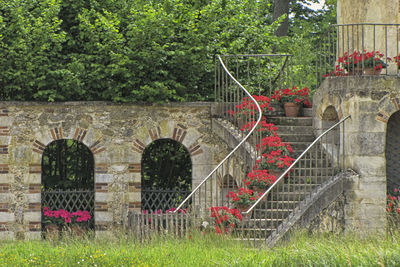 Closed gate in garden