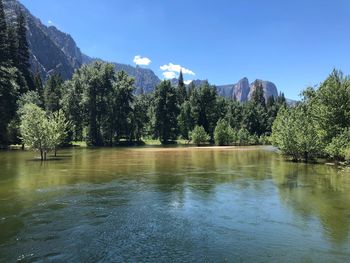 Scenic view of lake by trees against sky