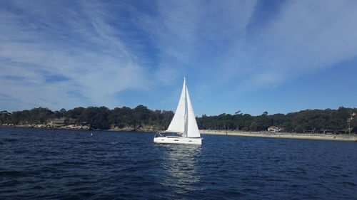 Sailboat sailing in sea against sky