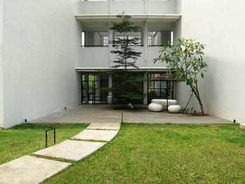 Potted plant on lawn outside house