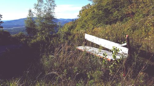 Plants growing on mountain